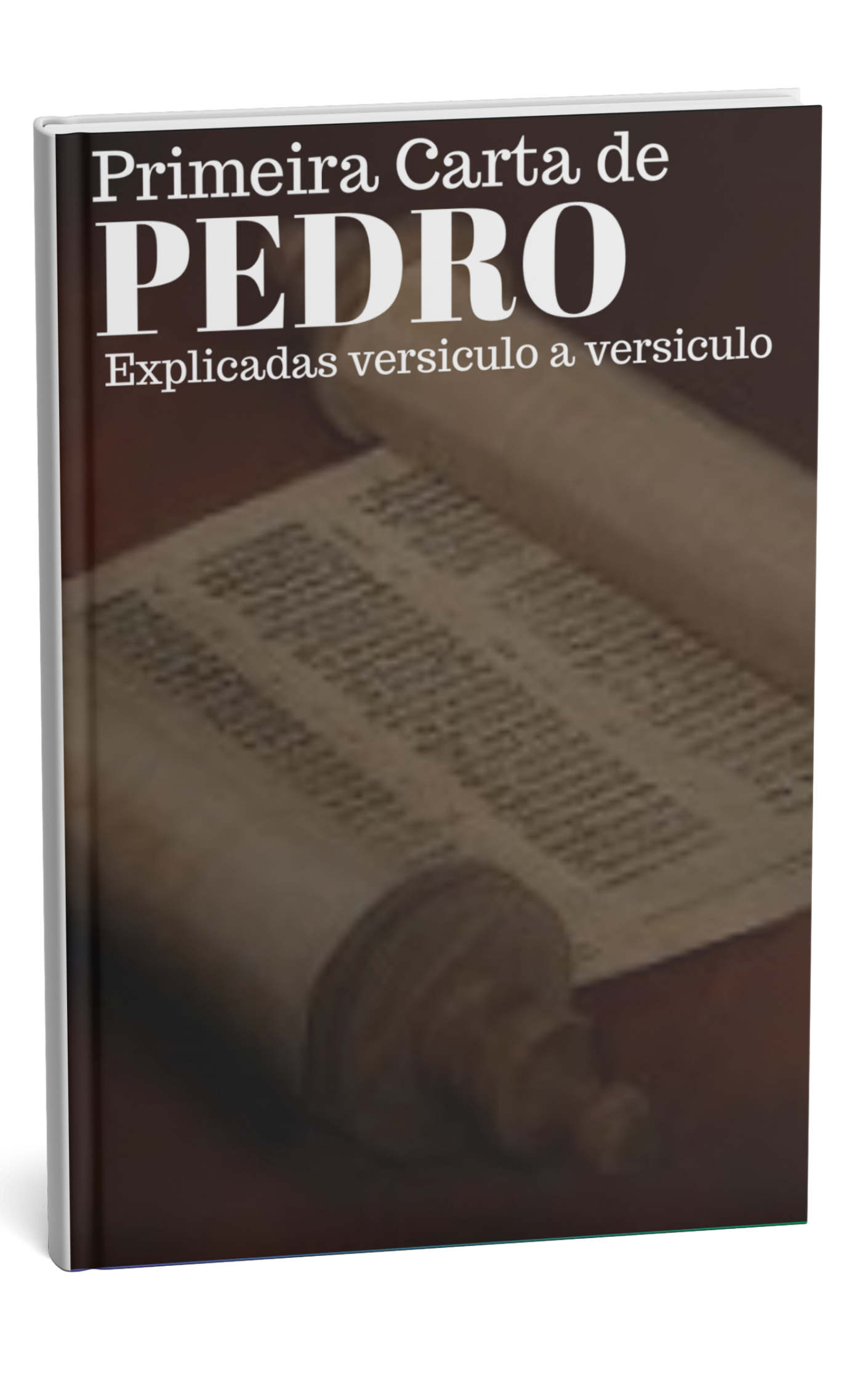 Cabeçalho (2)